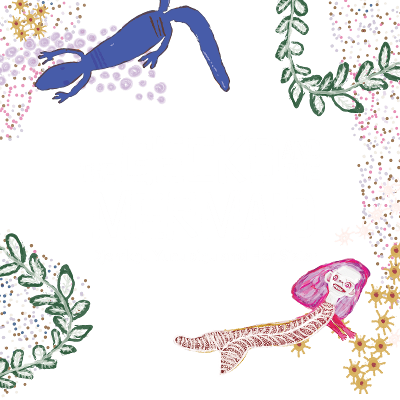 The Gecko and the Mermaid